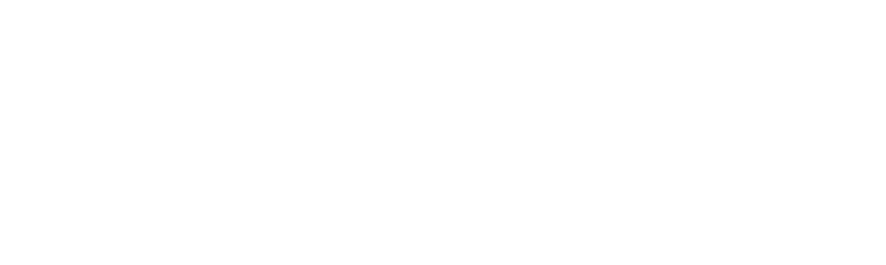 MaxiCyber